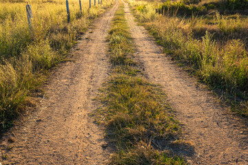 A quiet dirt road stretches through a golden field under the warm evening sun