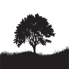 Fototapeta premium Silhouette of a tree in the field with grass