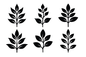 Elegant Botanical Leaf Illustrations Six Unique Branch Designs for Design Projects