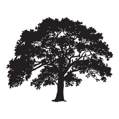 Fototapeta premium Silhouette of a tree in the field with grass