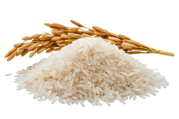 Ear of rice and pile of uncooked grains isolated on a transparent background showcasing their natural texture and form in a clean composition