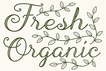 Elegant monoline script font with delicate leaf vines