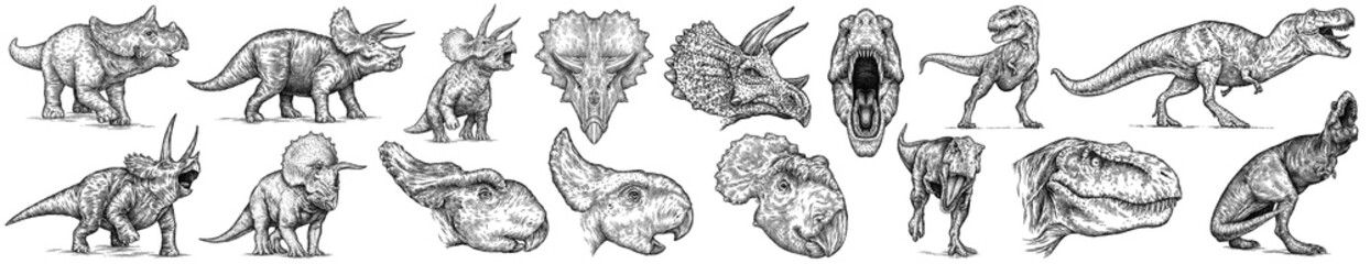 Vintage engraving isolated Triceratops set illustration reptile ink sketch. Dinosaur background silhouette Jurassic art. Black and white hand drawn image © Turaev