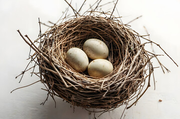 Minimalist Bird Nest with Eggs A Clean White Aesthetic