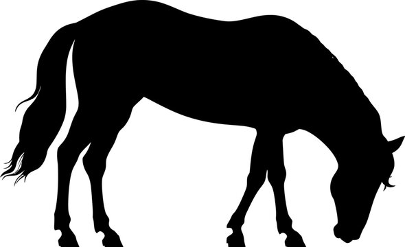 black horse silhouette grazing on white clip art preview