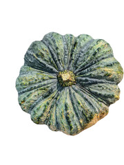 Ribbed acorn squash with dark green mottled skin and deep vertical ridges viewed from bottom showing natural textured pattern on transparent background