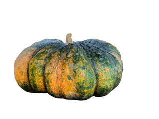 Large ribbed heirloom pumpkin with mottled green and orange warty textured skin isolated on transparent background for autumn and Halloween designs