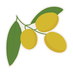 Olive oil logo design or icon nature beauty and health.