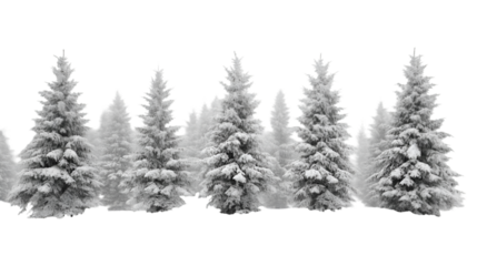 Winter wonderland snowy forest trees background for christmas holiday season landscape design  transparent background png