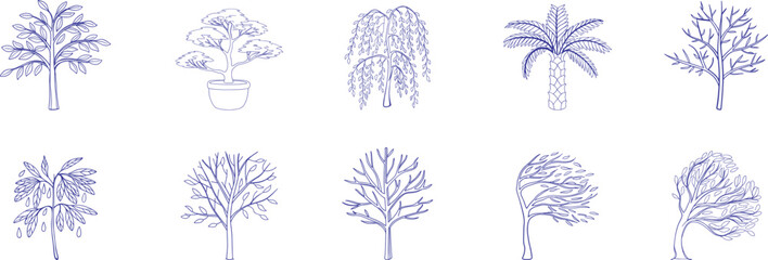 Ten hand-drawn tree illustrations in elegant line style featuring diverse species including bonsai, willow, and palm. Ideal for nature-themed designs, landscaping plans, and educational visuals. © Sk