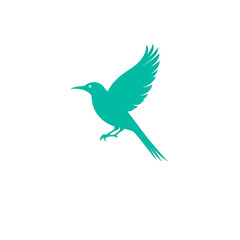 Fototapeta premium Teal Bird Flying Illustration Graphic Design Vector
