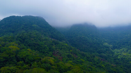 Naklejka premium Clouds over a mountain range. Clouds obscure the top of the mountain. View of a mountain range covered with jungle and low clouds.