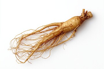 A dried up root of a plant with brown and white colors