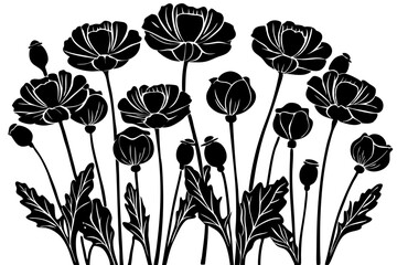 Naklejka premium Elegant Black and White Poppy Flower Illustration Botanical Art Print