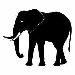 Fototapeta premium elephant silhouette vector
