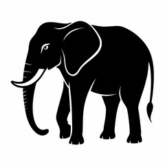 Obraz premium elephant silhouette vector