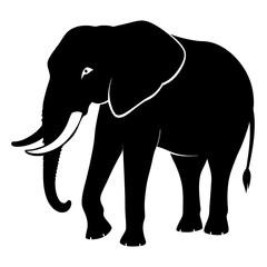 Fototapeta premium elephant silhouette vector