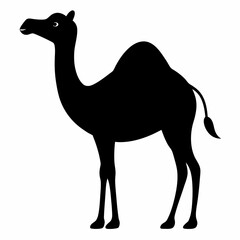 Camel silhouette on white background