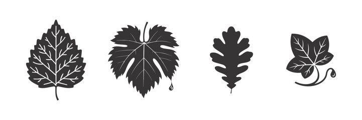 Oak leave, Cannabis Leaf, Clover, maple leaf, fig leaf, Birch leaf set ,silhouette vector illustration. isolated on white background.	