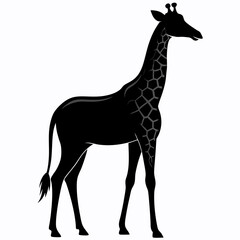 Fototapeta premium Elegant Giraffe Silhouette Vector Illustration