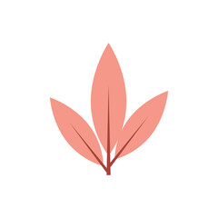 Colorful leaf logo and symbol design