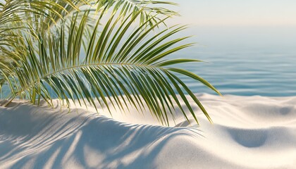 Palm fronds casting shadows on white sand near the ocean with a clear blue sky in the background