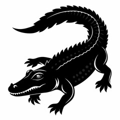Fototapeta premium Alligator Illustration Images