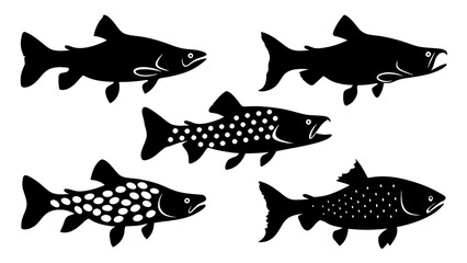 Set of modern illustration of fish