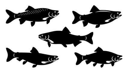 Set of modern illustration of fish