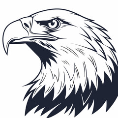 Obraz premium bald eagle head