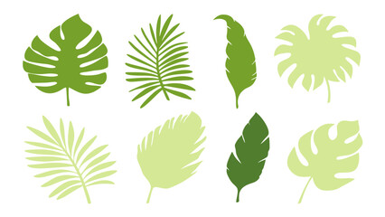 Set of colourful tropical palm leaves vector © Creative vector