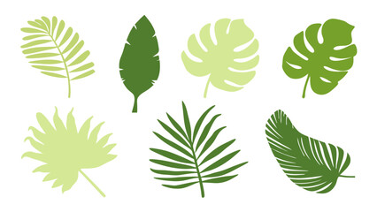 Fototapeta premium Set of colourful tropical palm leaves vector