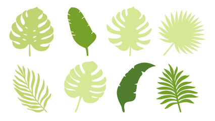 Set of colourful tropical palm leaves vector © Creative vector