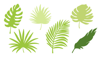 Set of colourful tropical palm leaves vector © Creative vector