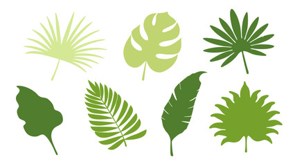 Set of colourful tropical palm leaves vector