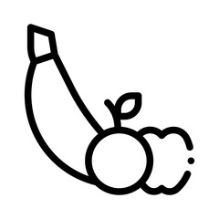 fruits line icon