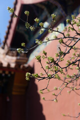 Shoukang palace of Forbidden City