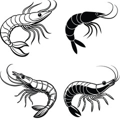 Shrimp Design Vector Set in Black and White