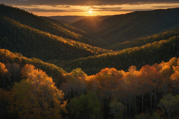Obraz premium Sunset above a valley between two forested hills with the last sunlight peeking through trees and highlighting the layers of foliage in a warm amber tone the valley floor is shadowed