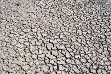 Closeup of cracked earth texture caused by drought in El Dean Park Guadalajara under sunlight