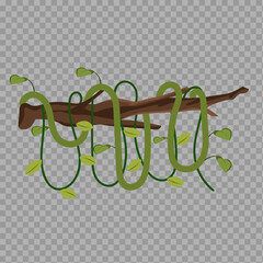 Cartoon Vines Wrapped Around Tree Branch on Transparent Background

