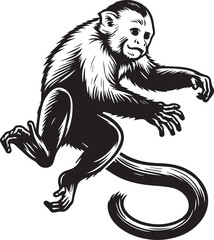 Capuchin Monkey Simple Black and White Vector Illustration	