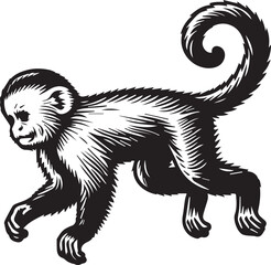 Capuchin Monkey Simple Black and White Vector Illustration	