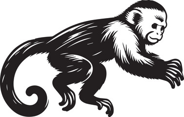 Capuchin Monkey Simple Black and White Vector Illustration	