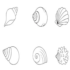 vector illustration of seashells