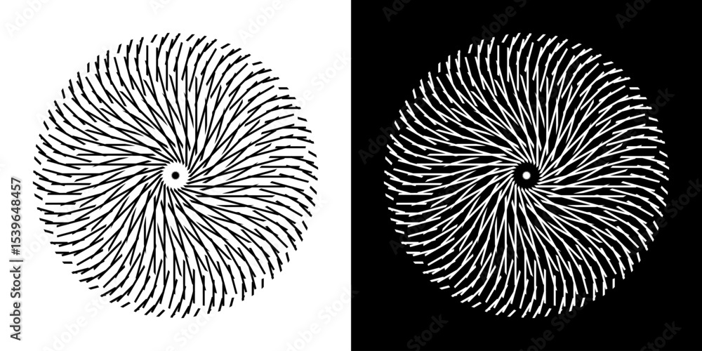 Fototapete Abstract background with abstract line pattern in circles. Spiral art design as a logo or icon. A black figure on a white background and the same white figure on a black side. Mandala design with line