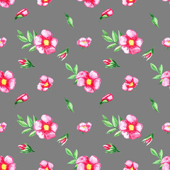 Seamless pattern with rose hip flowers on a gray background. Perfect for wallpaper, gift paper, pattern fill, summer greeting cards