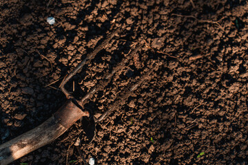 A three-pronged garden rake lies on the ground