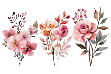 Beautiful pink watercolor floral arrangements showcasing various flowers and foliage in an artistic display suitable for decoration or inspiration