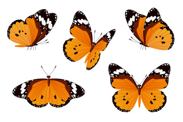 vector realistic butterfly set. Cartoon color volume clip art isolated on transparent background. Hand drown design element.
